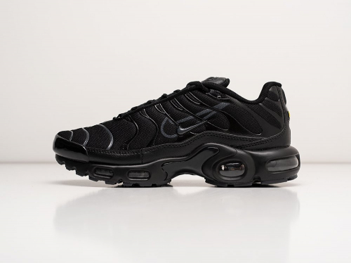 Кроссовки Nike Air Max Plus TN