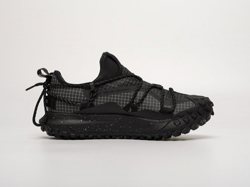 Кроссовки Nike ACG Mountain Fly Low