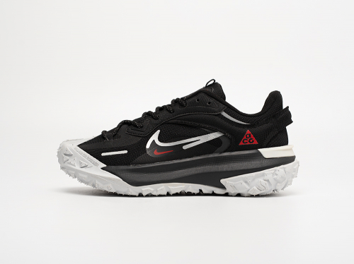 Кроссовки Nike ACG Mountain Fly 2 Low