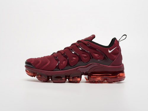 Кроссовки Nike Air VaporMax Plus