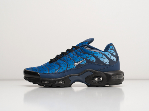 Кроссовки Nike Air Max Plus TN