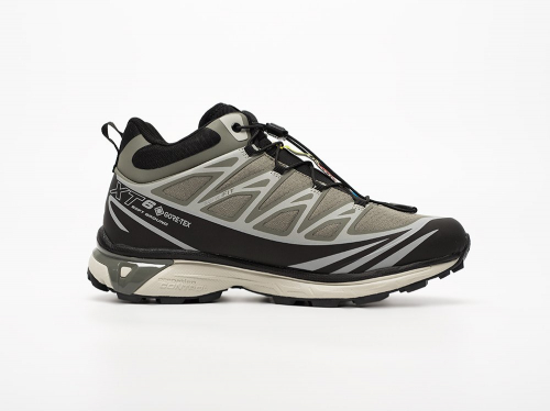 Зимние Кроссовки Salomon ADVANCED XT-6 ADV Mid