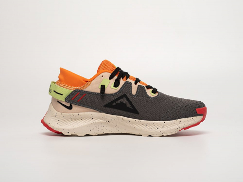 Кроссовки Nike Pegasus Trail 2