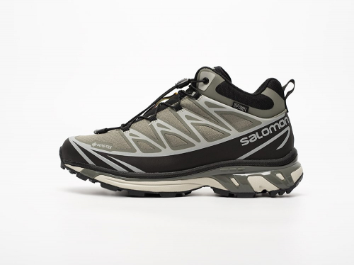 Зимние Кроссовки Salomon ADVANCED XT-6 ADV Mid