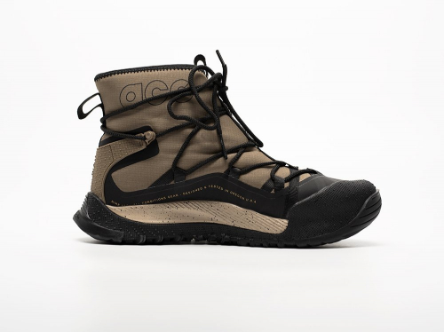 Зимние Кроссовки Nike ACG Air Terra Antarktik