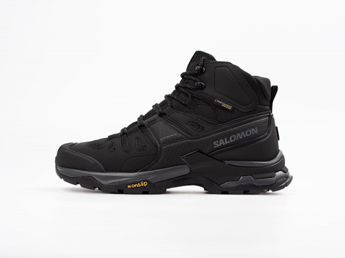 Зимние Ботинки Salomon Quest 4 GTX