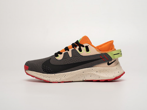 Кроссовки Nike Pegasus Trail 2