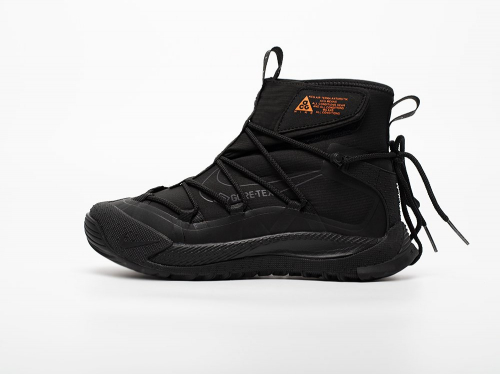 Зимние Кроссовки Nike ACG Air Terra Antarktik