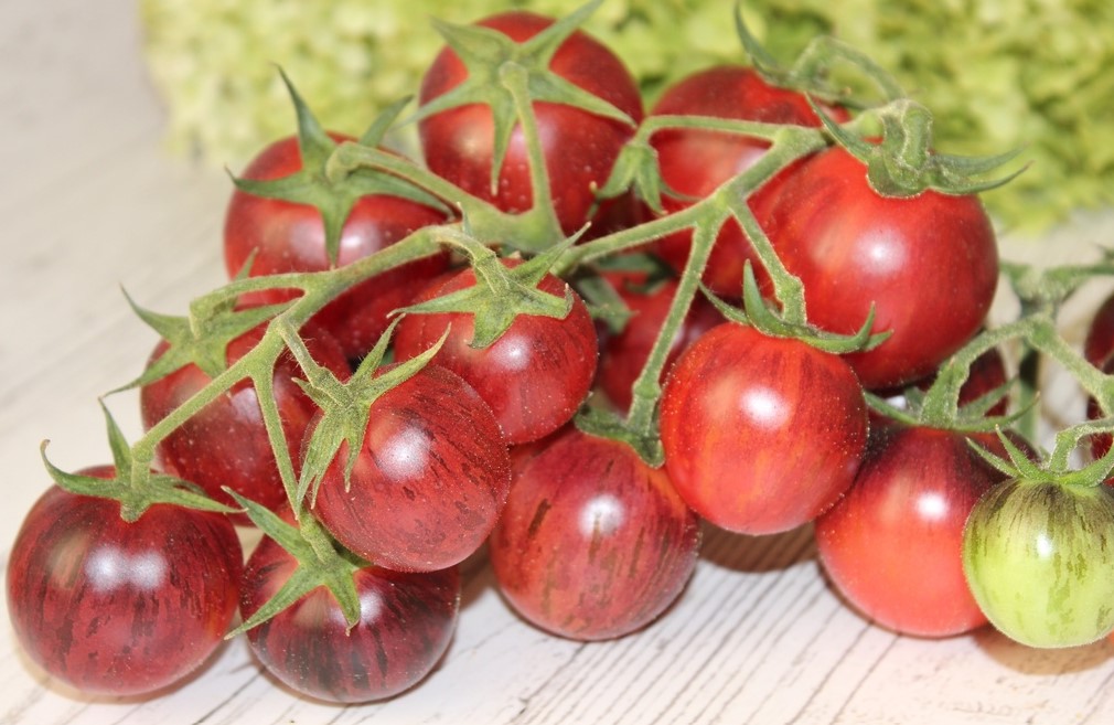 Сказочный блеск НОВИНКА