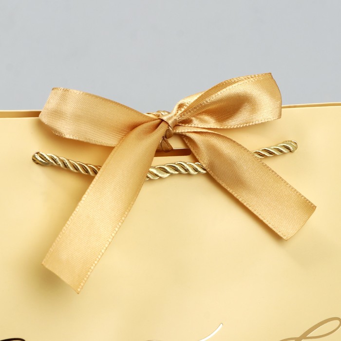 Пакет подарочный новогодний «Lucky present», 26 х 25 х 11 см
