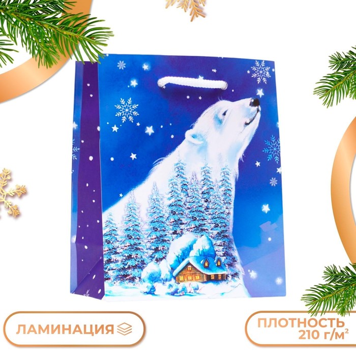 Пакет подарочный