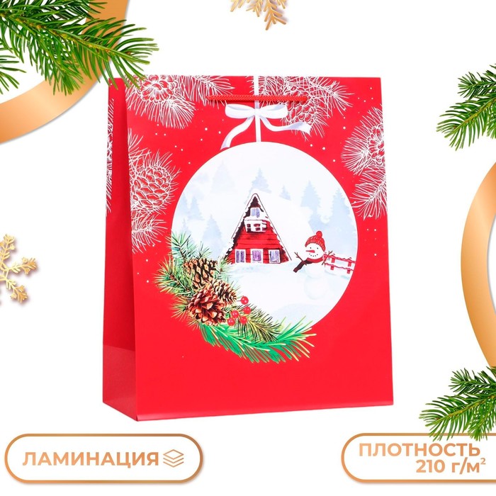 Пакет подарочный