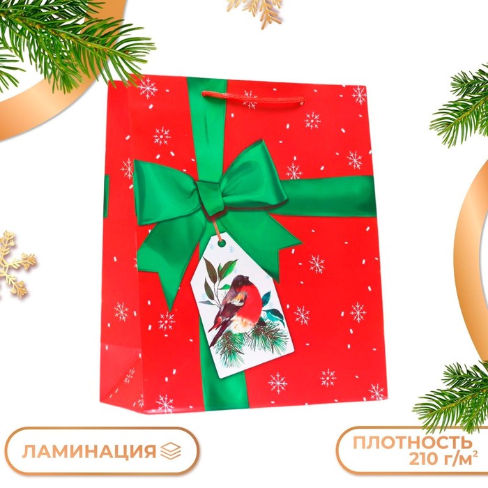 Пакет подарочный