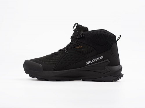 Ботинки Salomon ELIXIR MID GTX