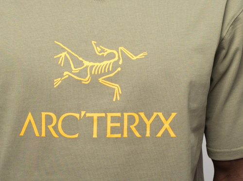 Футболка Arcteryx