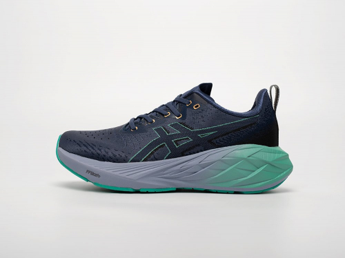 Кроссовки Asics Novablast 4