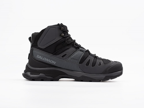 Зимние Ботинки Salomon Quest 4 GTX