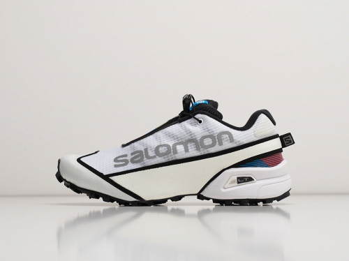 Кроссовки Salomon Streetcross