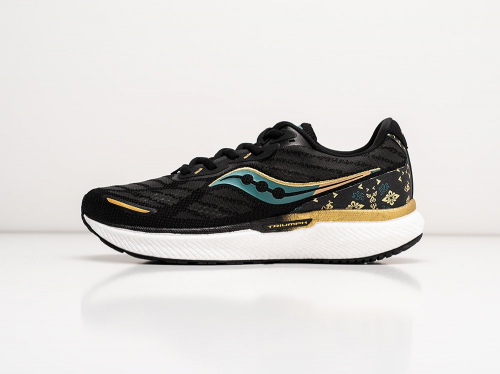 Кроссовки Saucony Triumph 19