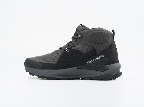 Ботинки Salomon ELIXIR MID GTX