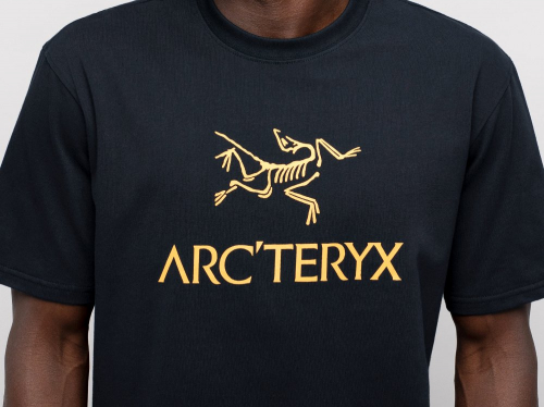 Футболка Arcteryx