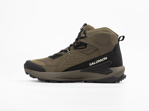 Ботинки Salomon ELIXIR MID GTX