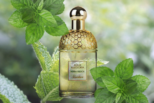 Guerlain Aqua Allegoria Herba Fresca