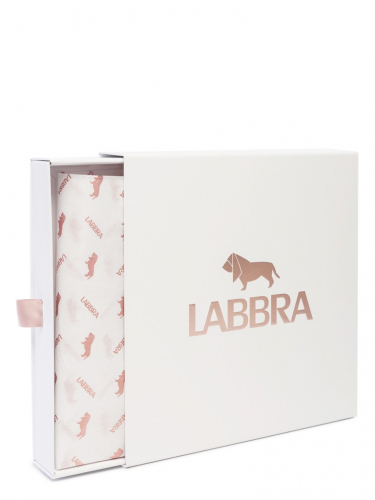 Подарочная коробка с тишью Labbra 28х28х5 2023