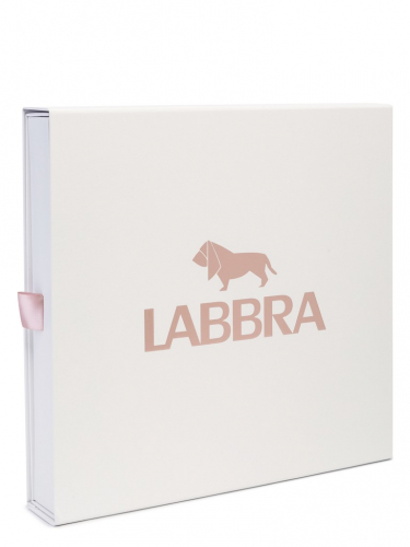 Подарочная коробка с тишью Labbra 28х28х5 2023