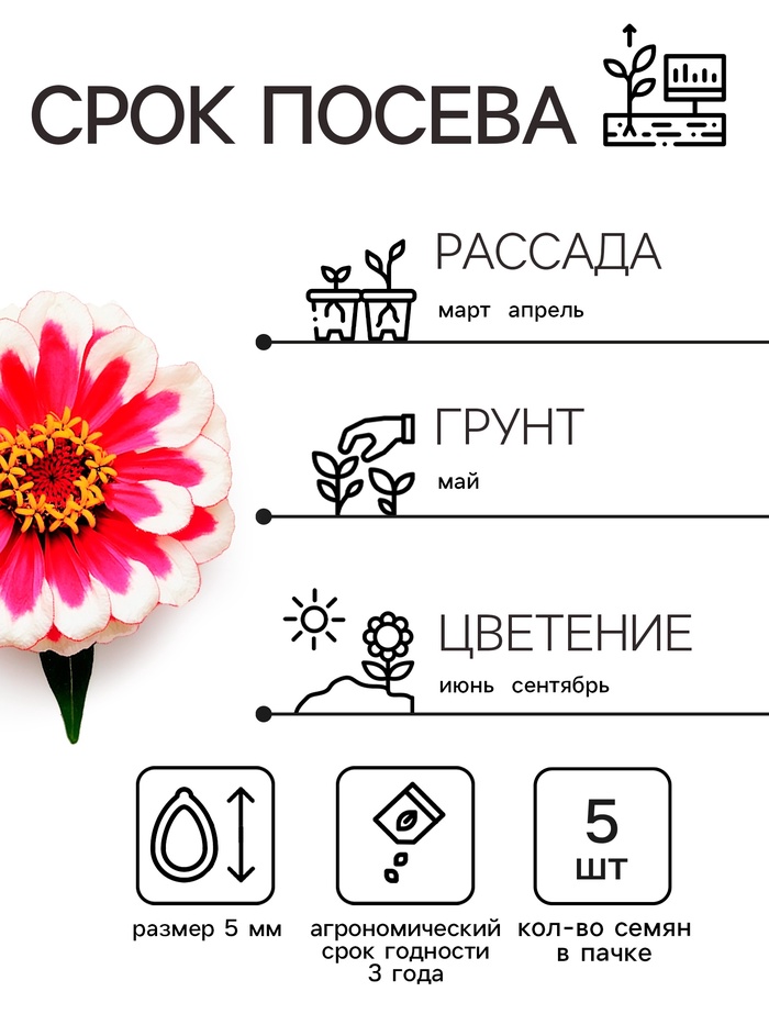 Семена цветов Цинния Захара