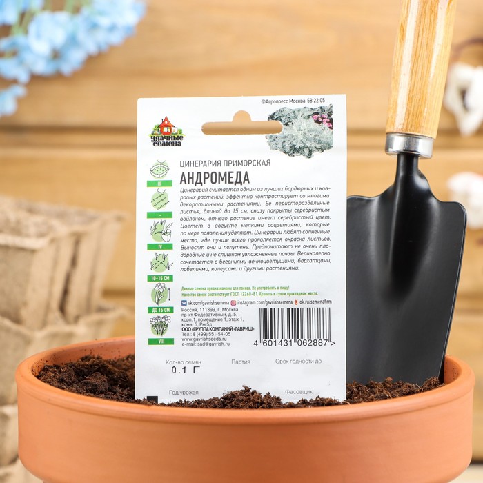 Семена цветов Цинерария приморская