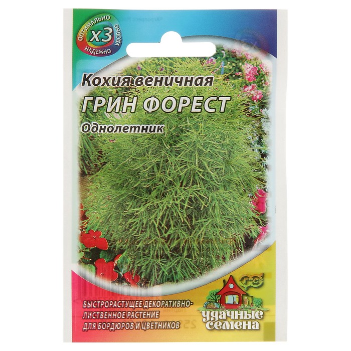 Семена цветов Кохия веничная