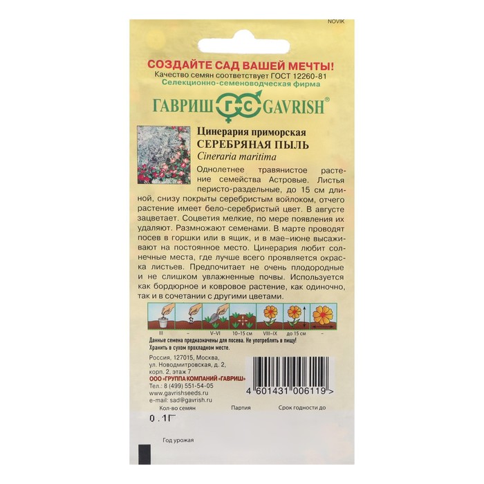 Семена цветов Цинерария приморская