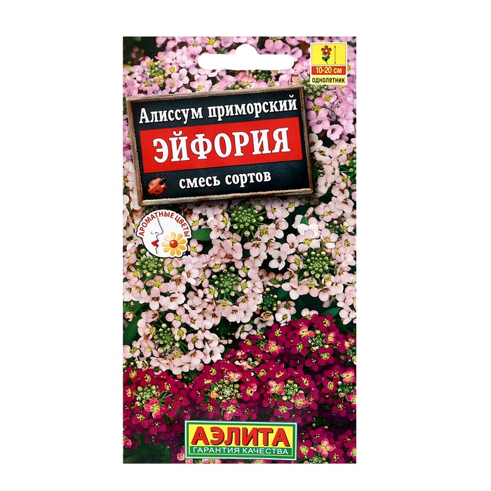 Семена цветов Алиссум