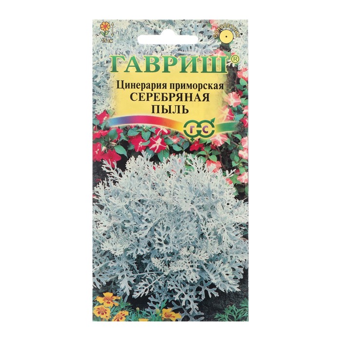 Семена цветов Цинерария приморская
