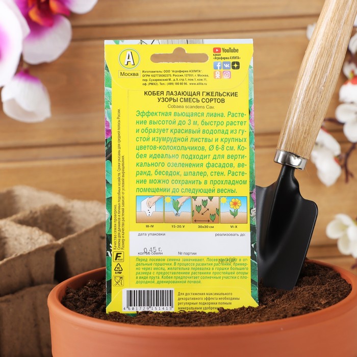 Семена цветов Кобея