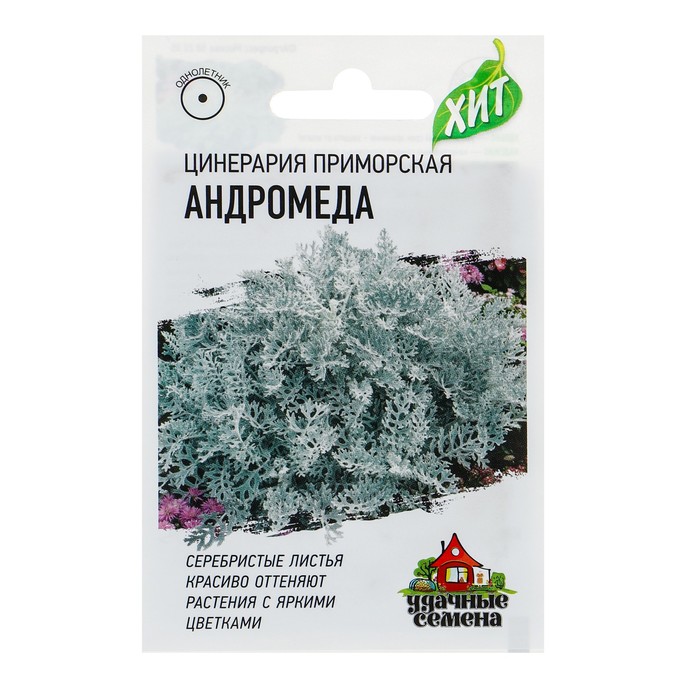 Семена цветов Цинерария приморская