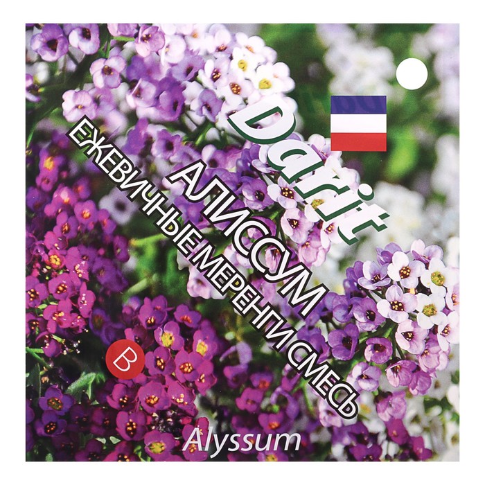 Семена цветов Алиссум