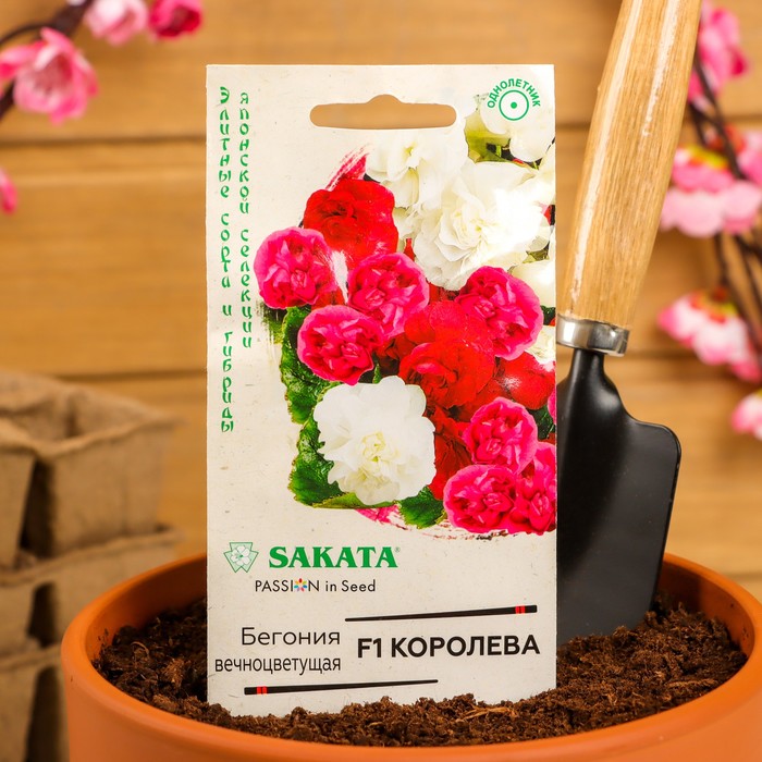 Семена цветов Бегония