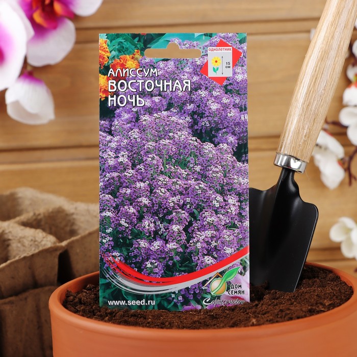 Семена цветов Алиссум