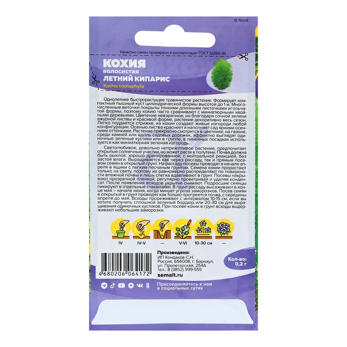 Семена цветов Кохия «Летний Кипарис», 0.2 г, «Семена Алтая»
