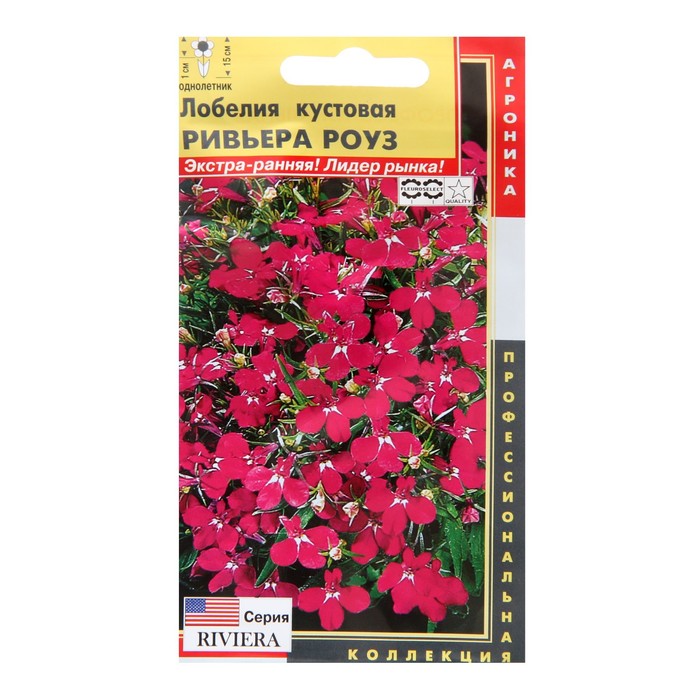 Семена Лобелия куст.