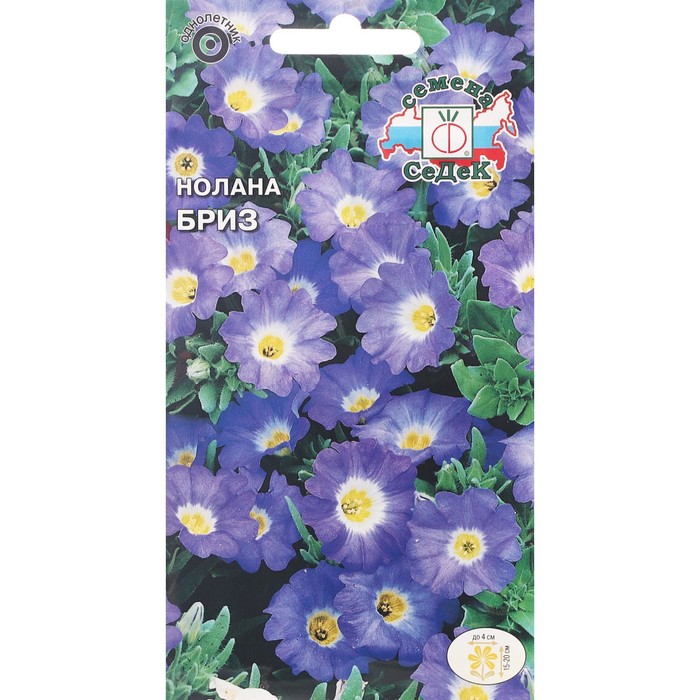 Семена цветов Нолана