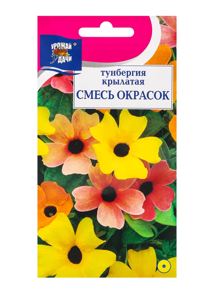 Семена цветов Тунбергия, Смесь окрасок, 0,2 г