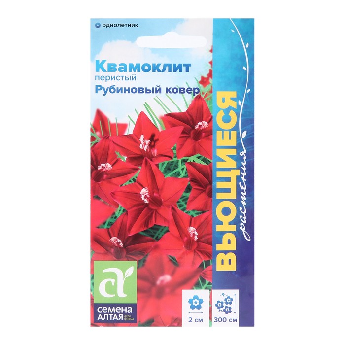 Семена цветов Квамоклит