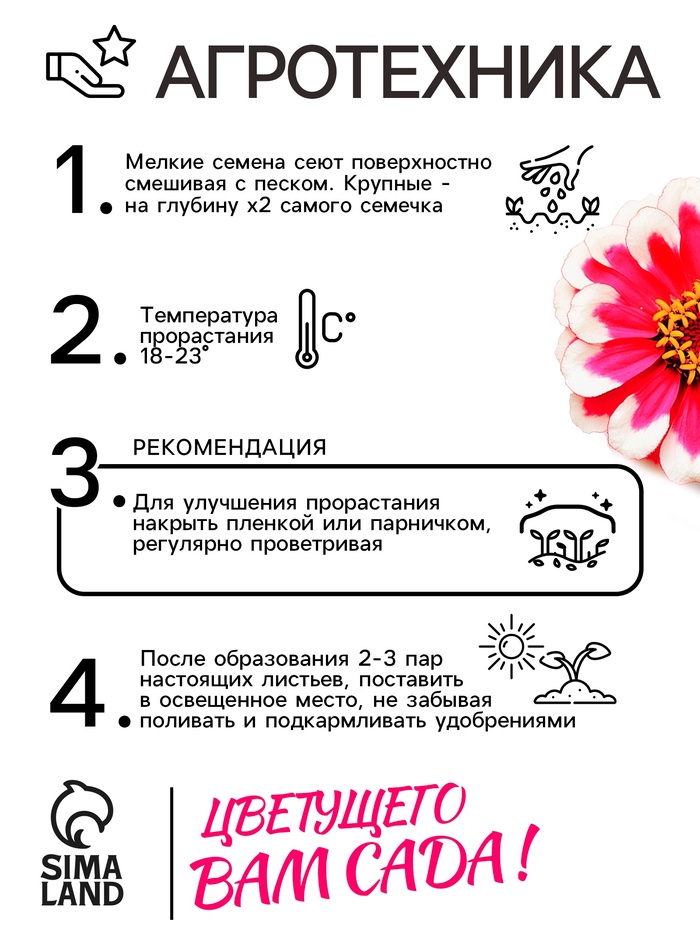 Семена цветов Цинния Захара