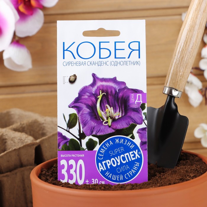 Семена цветов Кобея