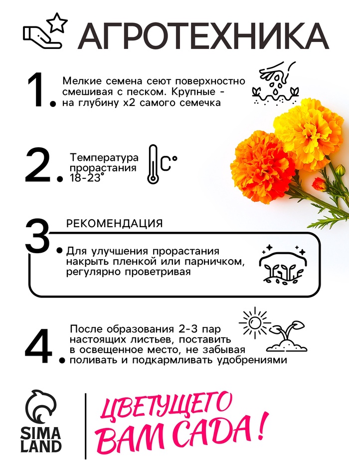 Семена цветов Бархатцы отклонённые «Петит», смесь, 0.3 г