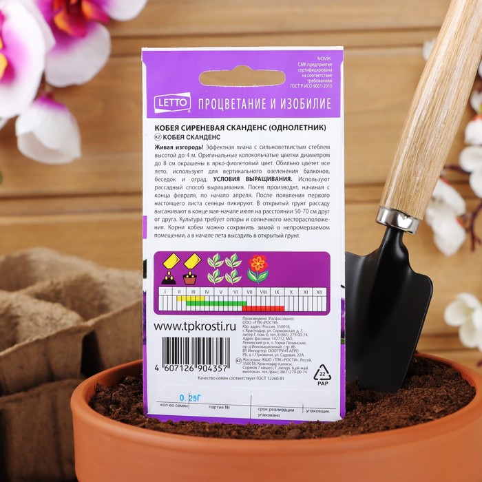 Семена цветов Кобея