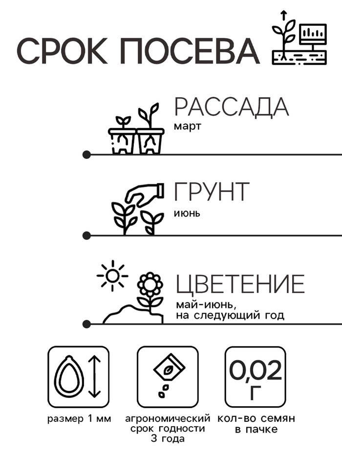 Семена цветов Камнеломка